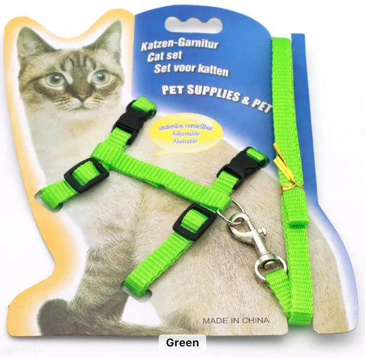 Collar verde para mascotas con correa