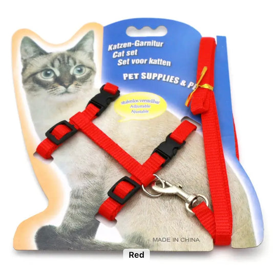 Red Pet Collar With Leash