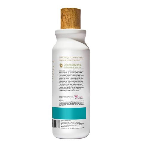 Raw Sugar Shampoo | The Moisture Smoothie - 18 fl oz